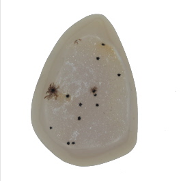 40x28mm Polished Druzy
