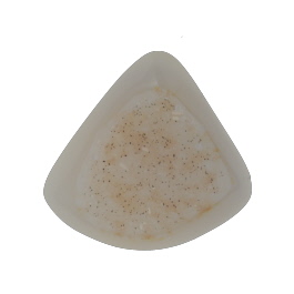 27x26mm Polished Druzy