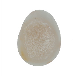 40x31mm Polished Druzy