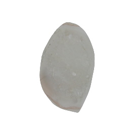 28x17mm Polished Druzy