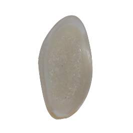 48x25mm Polished Druzy