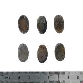 19X11 EACHmm Bezel Edge Druzy Set Of 6