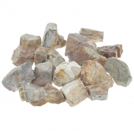 WireJewelry 1.5 lbs of Bulk Rough Petrified Wood Stone - Large Natural Rough Stone and Crystals for Tumbling