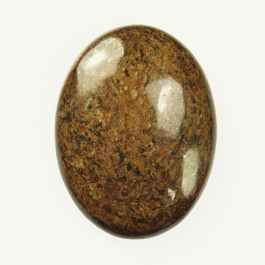 Bronzite 18x25mm Oval Cabochon