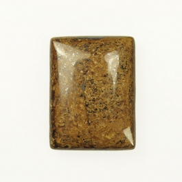 Bronzite 18x25mm Rectangle Cabochon