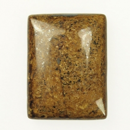 Bronzite 30x40mm Rectangle Cabochon