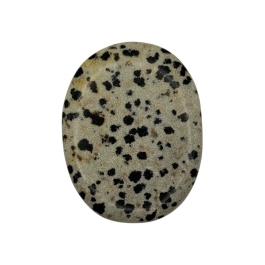 Dalmation Jasper  Wish Stone