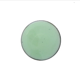 1308 Lichen Green Thompson Opaque Enamel