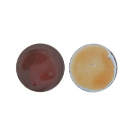 2837 Orange Thompson Transparent Enamel